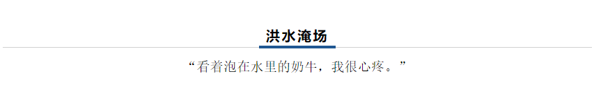 【乳報(bào)·聚焦】“豫”難而上的中原牛人“太中了”！