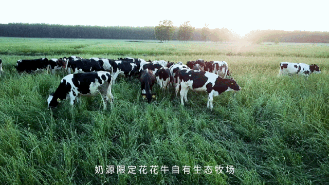 春風吹 戰(zhàn)鼓擂——不負春天好時光