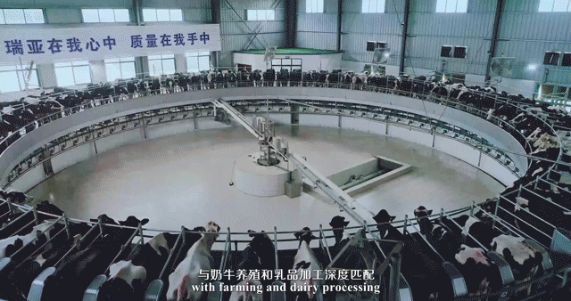 快訊 | 河南省委常委、省紀(jì)委書記、省監(jiān)委主任任正曉蒞臨花花牛乳業(yè)集團(tuán)新蔡瑞亞牧場(chǎng)調(diào)研