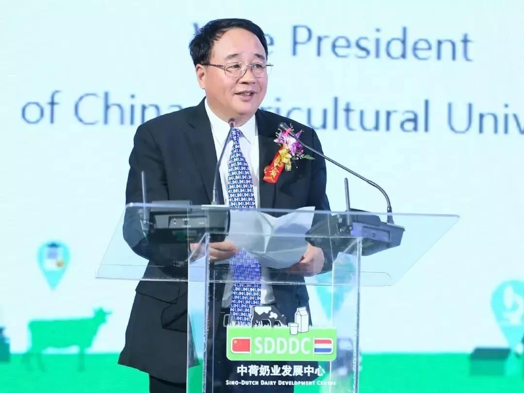 SDDDC走進(jìn)河南，看看花花牛的國際范兒！