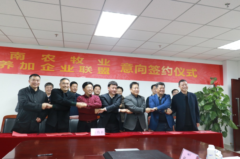 涉農(nóng)企業(yè)強強聯(lián)合，“抱團取暖”共迎企業(yè)發(fā)展的春天