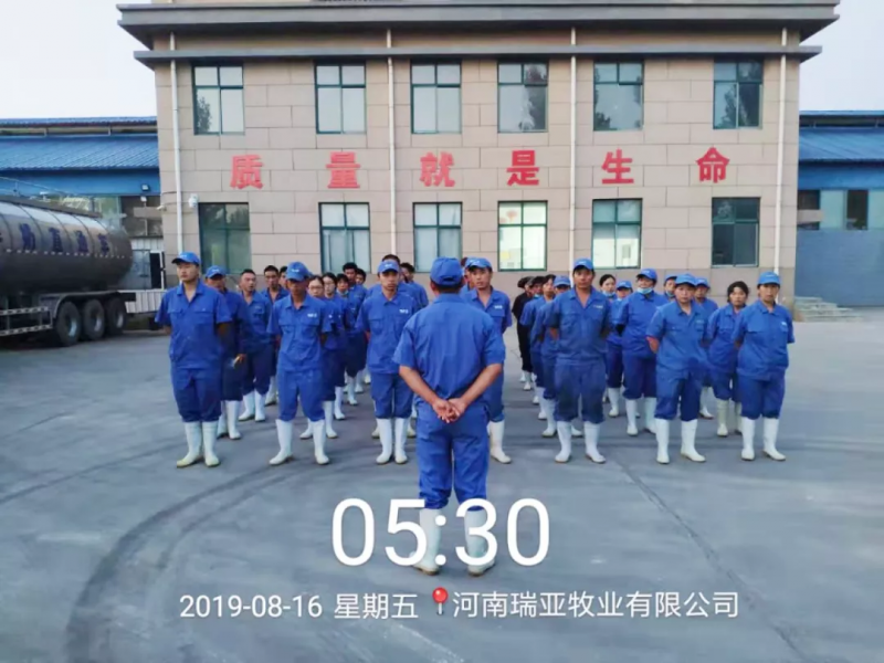 小晨會(huì)·大能量——砥礪奮進(jìn)的花花牛，加油！